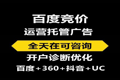 SEM广告投放策略：成功案例解析